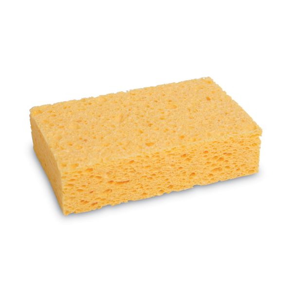 Boardwalk Cellulose Sponge