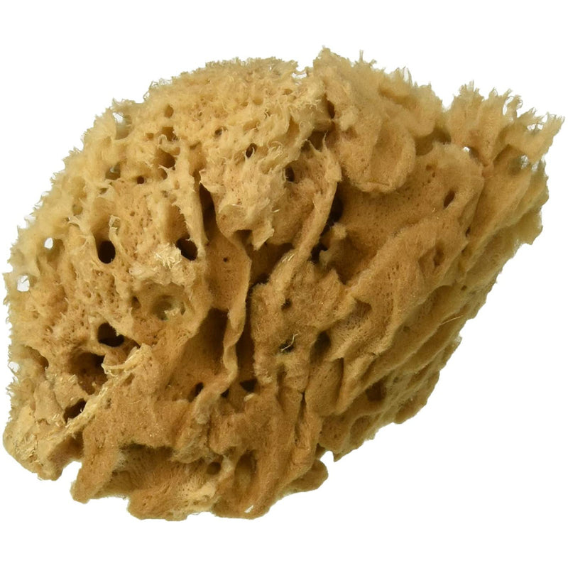 Royal & Langnickel All Natural Sea Wool Sponge